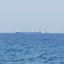 리틀미코노스6 이미지