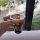 (주)제이스퀘어호텔 휘트니스센터 | Day4,5 💛세부 쉐라톤 디럭스 오션뷰 / 조식당 5cien / 부히바 / 미슐랭 딥(Dip) / 풀바 / 피트니스센터