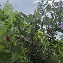 당산마을 화장실 이미지