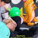 웬만해선 개들을 막을 수 없다 이미지