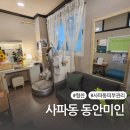 사파동162 이미지