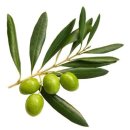 수채화 입문 이미지