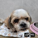 순둥순둥
