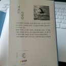 비앤피컬쳐 이미지
