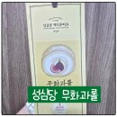 유통 | [대전] 성심당 무화과롤 맛 가격 보관 유통기한 후기