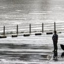 중부-현장-중부-500 이미지