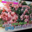 자연만세 이미지