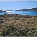 죽림포유부동산공인중개사사무소 이미지