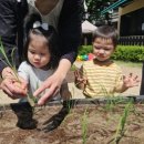 수다쟁이숲어린이집 이미지