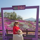 늘비물고기마을 | 산청 생초조각공원 꽃잔디의 걸작