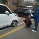 승일카 이미지