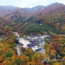 표충사 - 1903 | 표충사