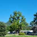 광주향교 이미지