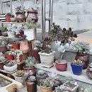 황골길 | 화성요양원 선택 기준 노인요양원비용 등급별 혜택 완벽 정리