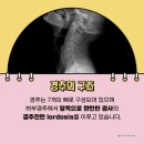 늘좋은한의원 이미지