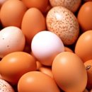 연수요양병원 이미지