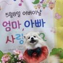 몽실이