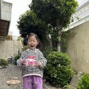 새미사 이미지