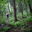 화원펜션 이미지