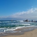 바다나루 이미지