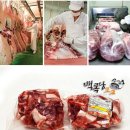 볶으면돼지