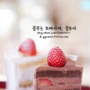 프레베리 티스토리