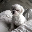 WR(인천광역시 서구)-[거북로]-하-1 | [12월-1월 초 일상] 희노애락의 달