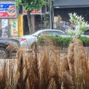 부천 빵집 맛집 &#39;베이커리호프&#39;의 오이바게트 후기