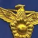 주정차113 이미지