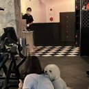 트루그릿 피트니스 2호점 이미지