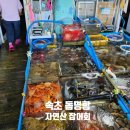 난전매운탕 | 속초 | 동명항 회센터 눈탱이 바가지 안당하는 생선선생 공략집 및 자연산 잡어회 후기 오징어난전 굳이?