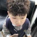 퍼니스핀 네이버블로그