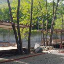 강마을민박 이미지