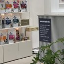 삼척동물병원 | 삼척 동물 병원 추천, 셀레네 동물 병원(강아지 유선종양 재발)