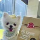 하림스튜디오 이미지