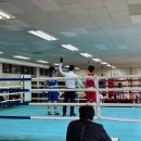 비복싱짐 이미지