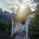 장성마을 건너 이미지