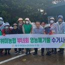 위미1리 이미지