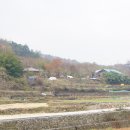 효운농장 Daum카페