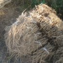 개량농장 이미지