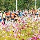 파주통일경기-파주-통일14 문화일보