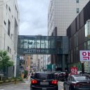 쉽지 않은 위, 대장 내시경 후기 및 꿀팁 공유 (feat. 전 날 타이레놀 복용)