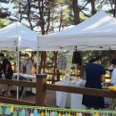 시립박물관 노리숲길 이미지