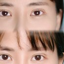 신중동역 랜드마크 푸르지오 시티 | 부천 신중동역 속눈썹연장/펌 맛집 "눈쓰업 래쉬살롱" 후기