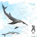 바다그리고 이미지