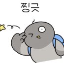 패슬로우 이미지