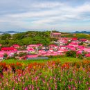 병풍도 티스토리