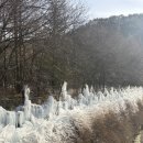 동산 | [대전] 상소동 산림욕장 겨울 얼음동산 방문 후기