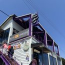 신안칼국수 | 내돈내산 후기 전남 신안 퍼플섬 맛집 진번칼국수 현지인 추천 점심맛집 식당