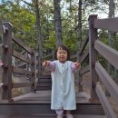 자연동산어린이집 | 영천나들이 운주산승마자연휴양림 숲속의집 8호 우로지 메타세콰이어 만불사맛집